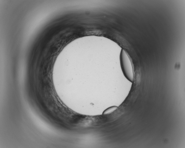 X0000111840764200909031704