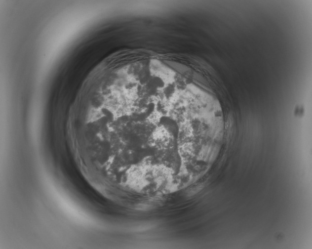 X0000111840765200909031704