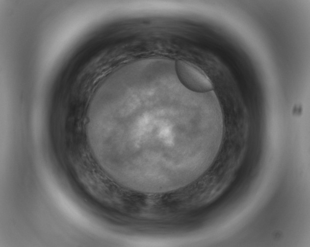 X0000111840766200909031704