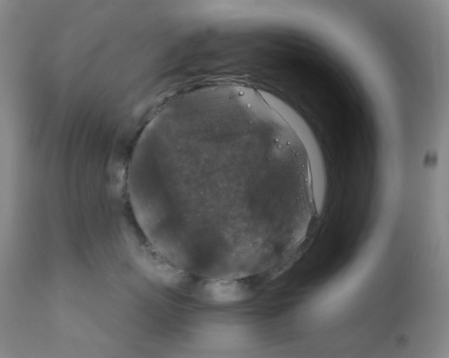 X0000111840767200909031704