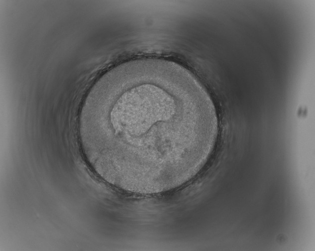 X0000111840769200909031703