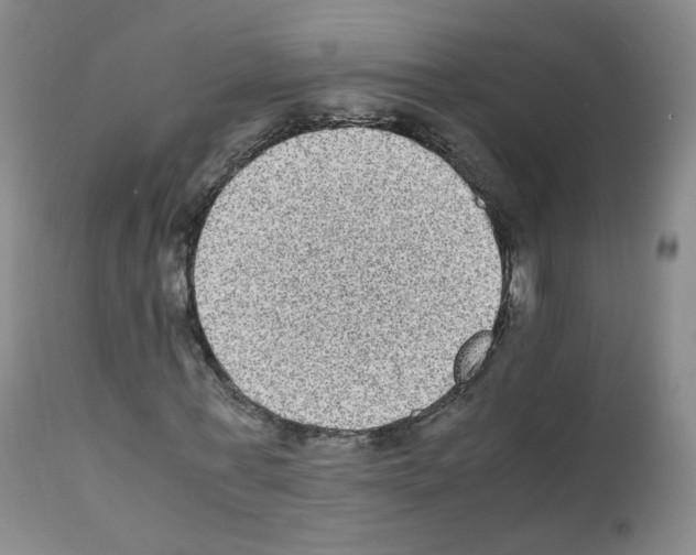 X0000111840771200909031703