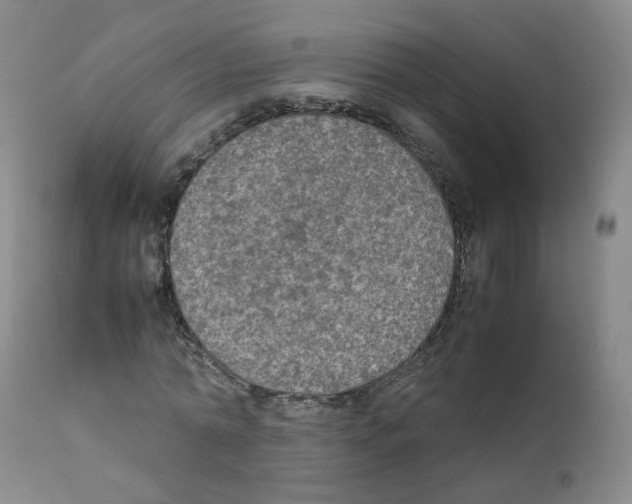 X0000111840774200909031703