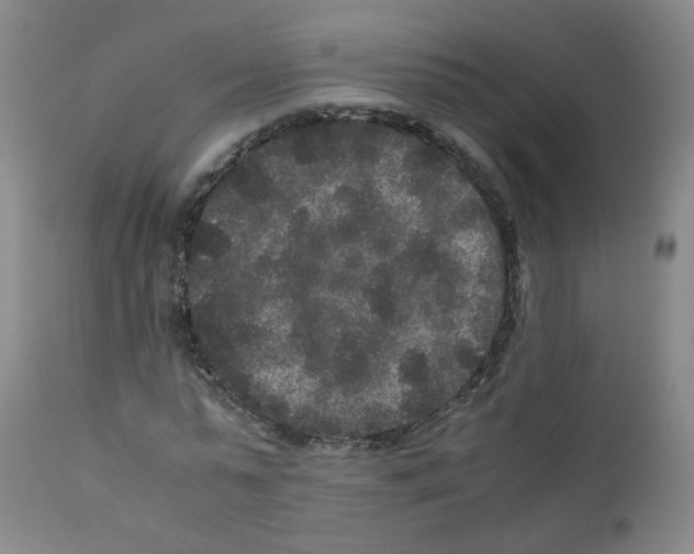 X0000111840775200909031702