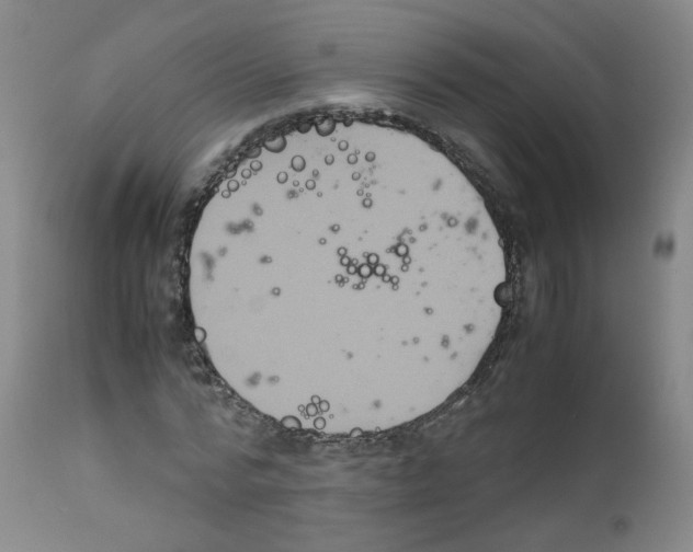 X0000111840776200909031702