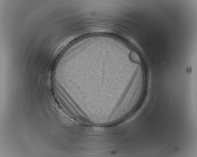 X0000111840777200909031702