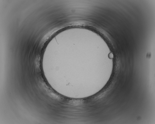 X0000111840778200909031702