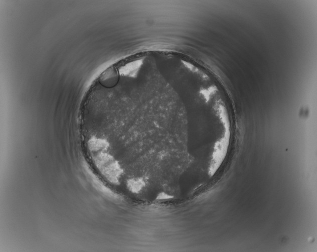 X0000111840779200909031702