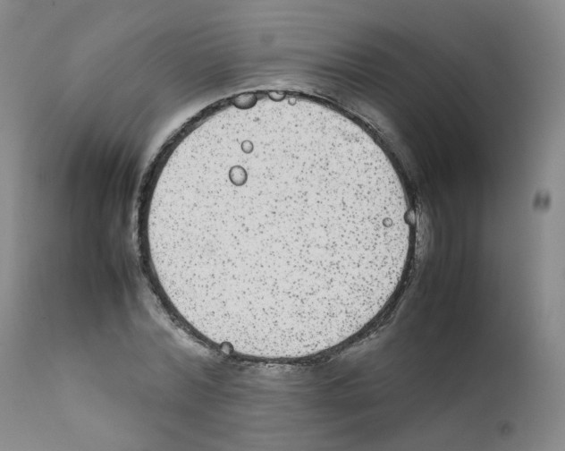 X0000111840780200909031702