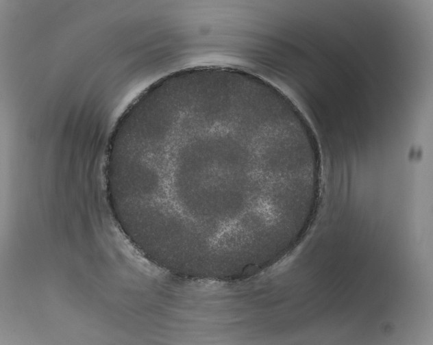 X0000111840783200909031702