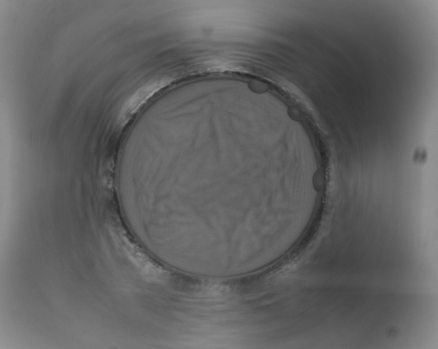 X0000111840785200909031702