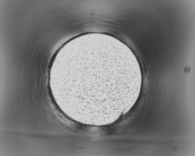 X0000111840787200909031702