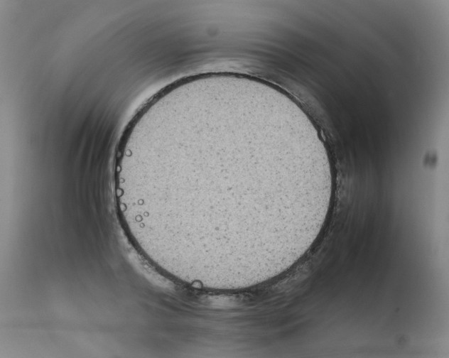 X0000111840792200909031702