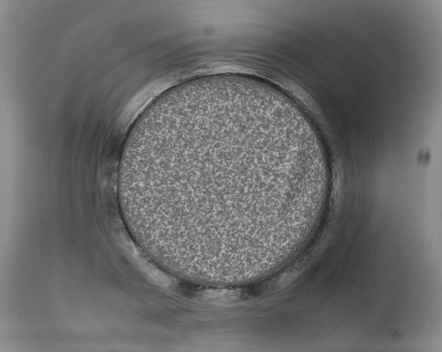 X0000111840793200909031702