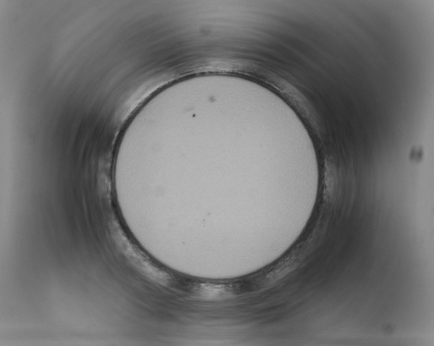 X0000111840794200909031702