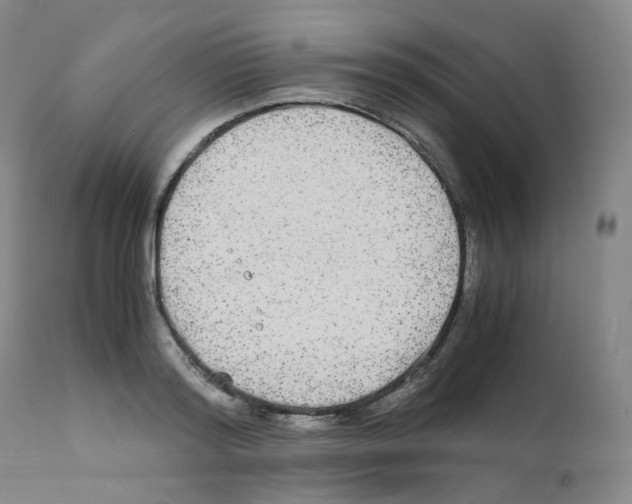 X0000111840796200909031702