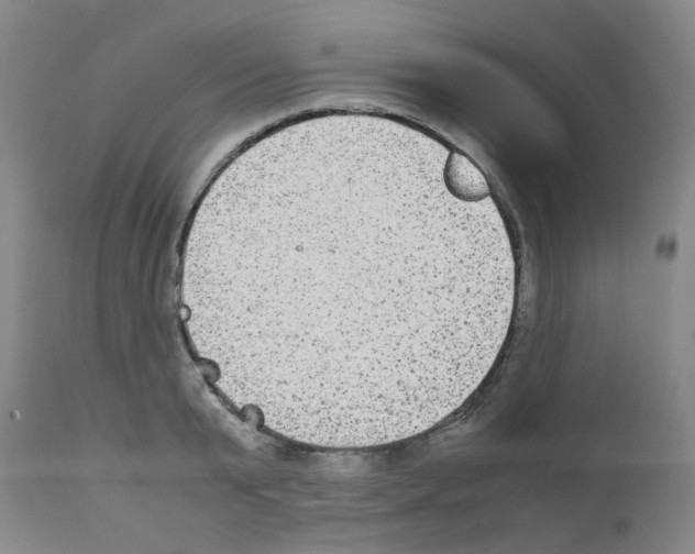 X0000111840799200909031702