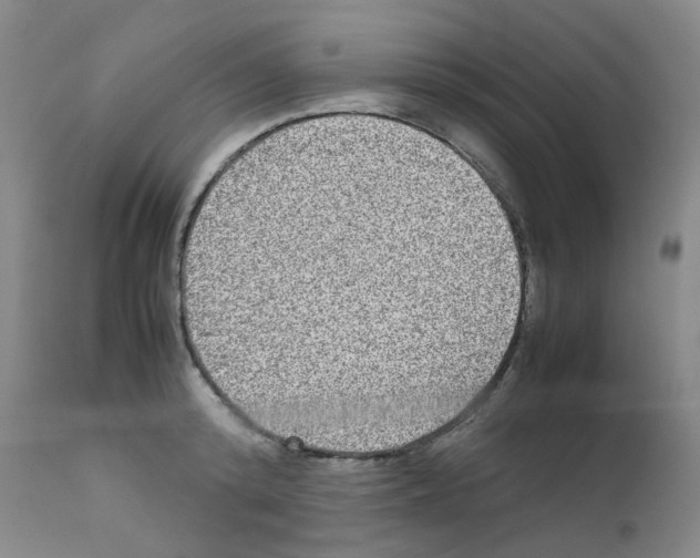 X0000111840800200909031702