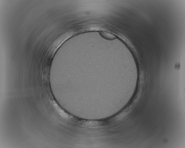 X0000111840801200909031702