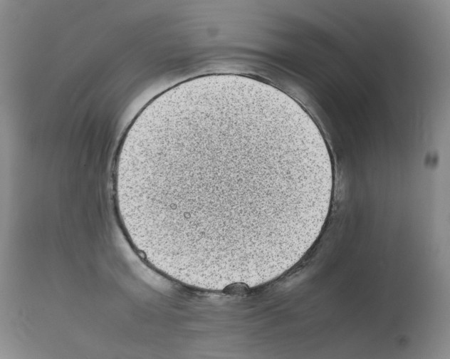 X0000111840803200909031702