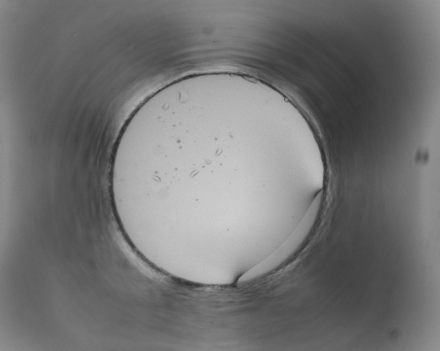 X0000111840805200909031702