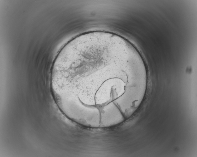 X0000111840807200909031702