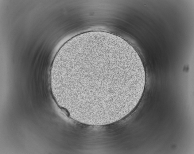 X0000111840808200909031702