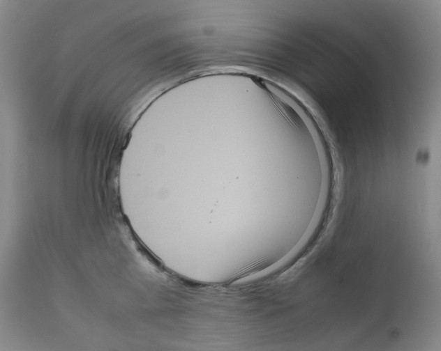 X0000111840809200909031702