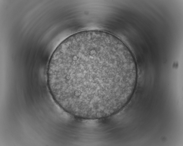 X0000111840810200909031702