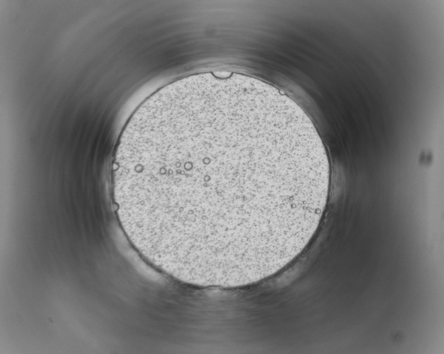 X0000111840812200909031702