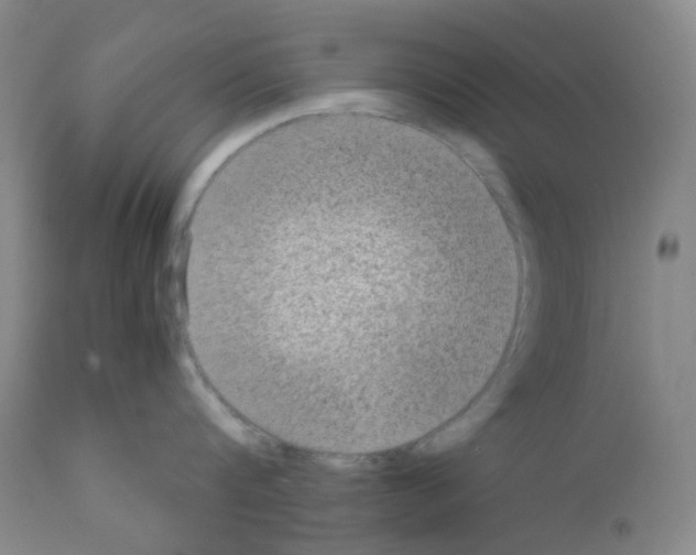 X0000111840816200909031702