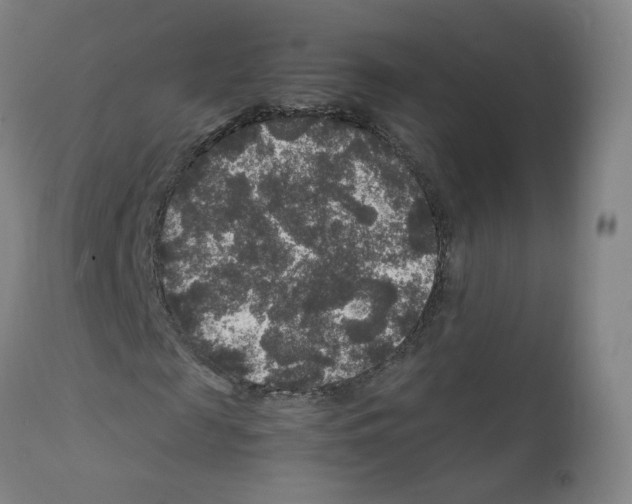 X0000111840817200909031701