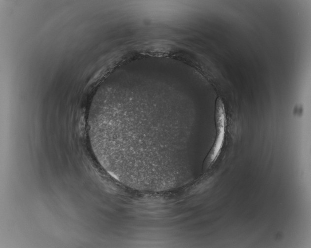 X0000111840818200909031701