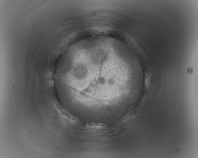 X0000111840819200909031701