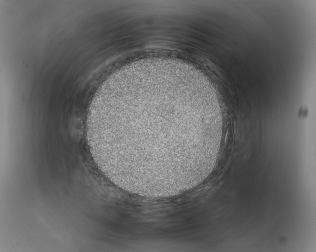 X0000111840821200909031701