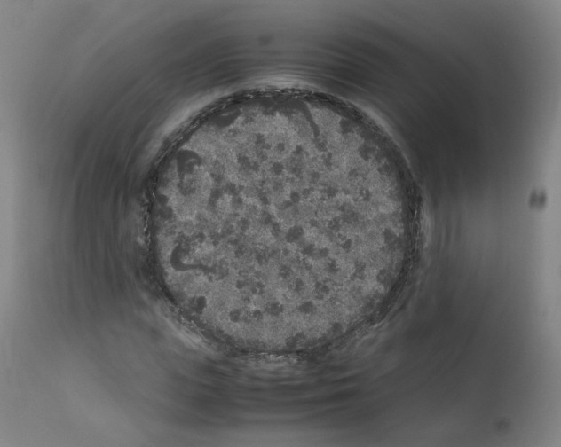 X0000111840823200909031701