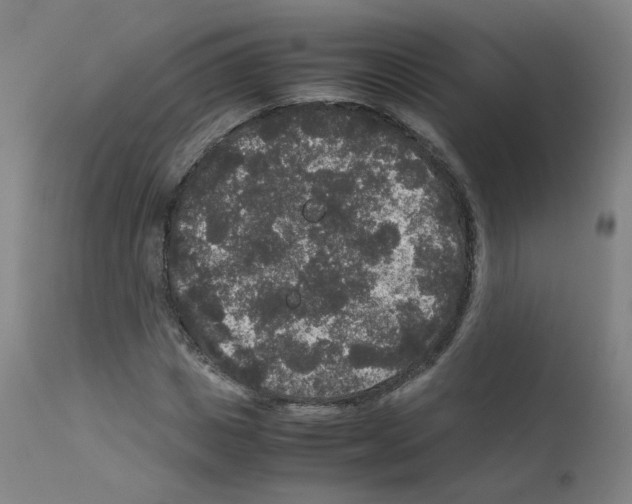 X0000111840825200909031701