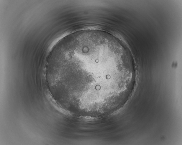 X0000111840827200909031701