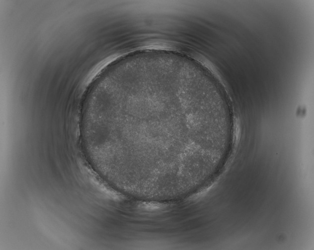 X0000111840829200909031701