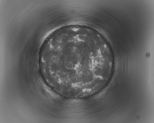 X0000111840830200909031701