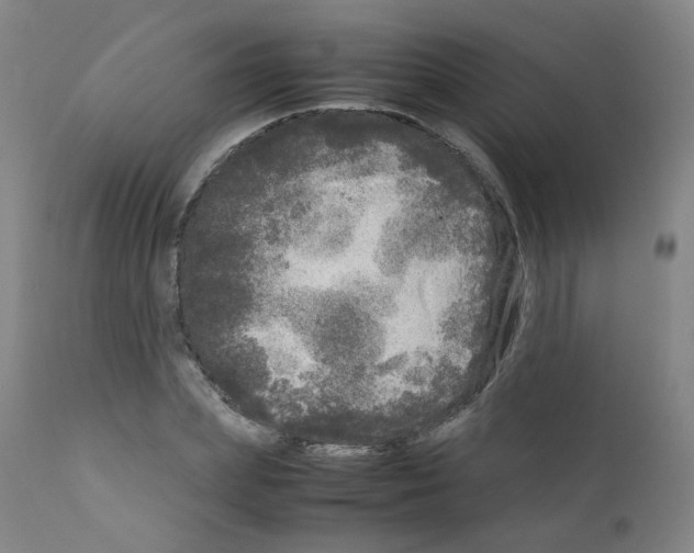 X0000111840831200909031701