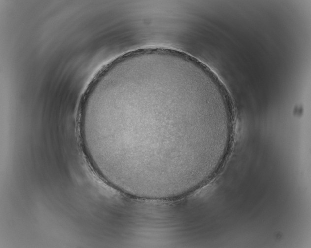 X0000111840832200909031701