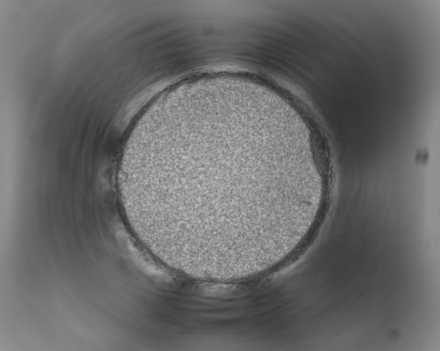 X0000111840833200909031701