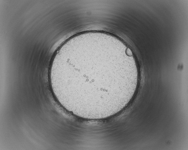 X0000111840834200909031701