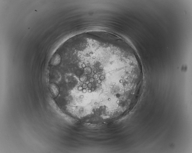 X0000111840835200909031701