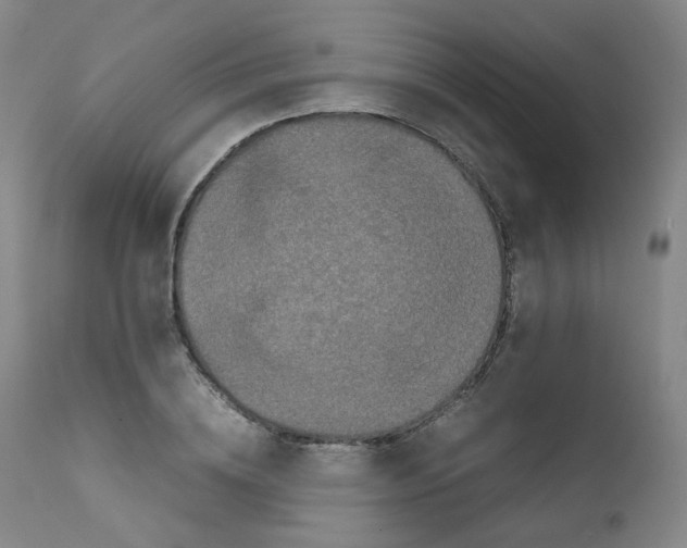 X0000111840836200909031701