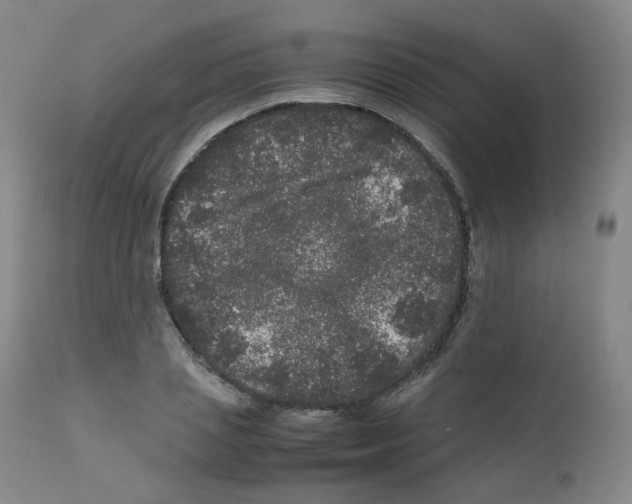 X0000111840837200909031701