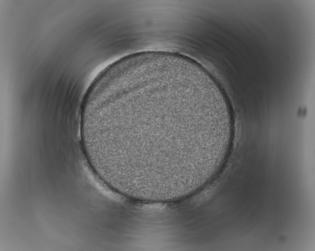 X0000111840838200909031701