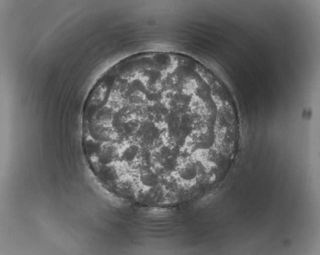 X0000111840839200909031701