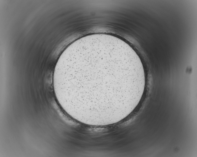 X0000111840841200909031701